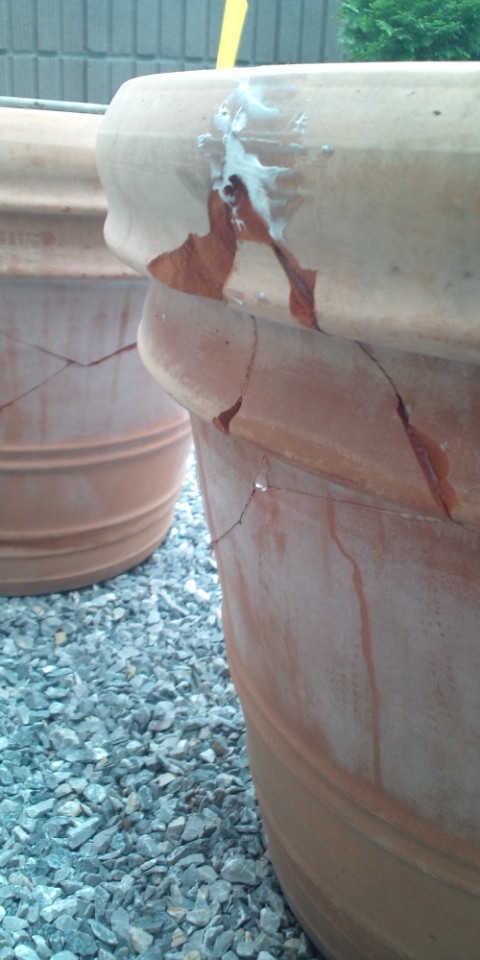 テラコッタの大きな植木鉢が割れました
